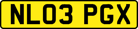 NL03PGX