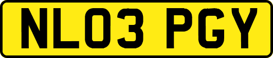 NL03PGY