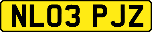 NL03PJZ