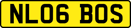 NL06BOS