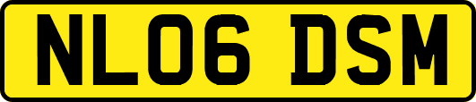 NL06DSM