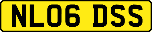 NL06DSS