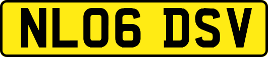 NL06DSV