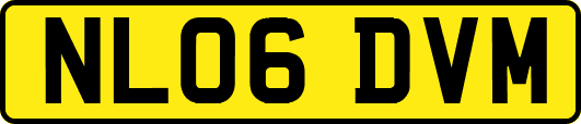 NL06DVM