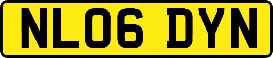 NL06DYN