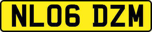 NL06DZM