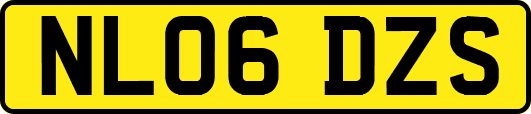 NL06DZS