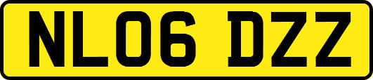 NL06DZZ
