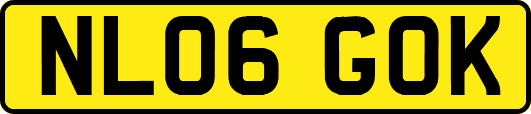 NL06GOK
