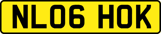NL06HOK