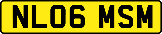 NL06MSM