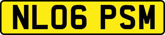 NL06PSM