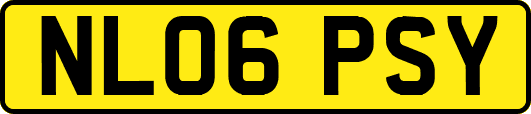 NL06PSY