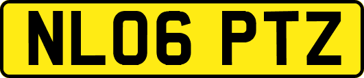 NL06PTZ