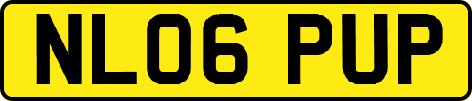 NL06PUP