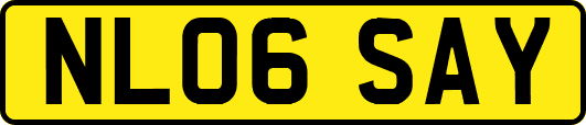 NL06SAY