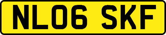 NL06SKF
