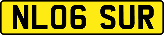 NL06SUR