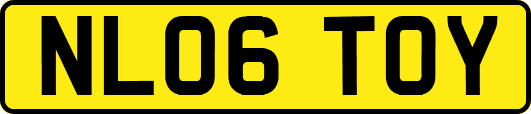 NL06TOY