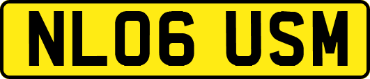 NL06USM