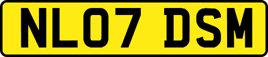 NL07DSM
