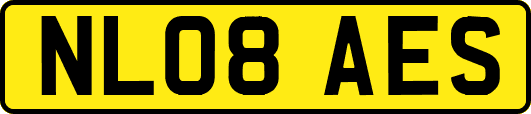 NL08AES