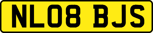 NL08BJS