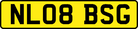 NL08BSG