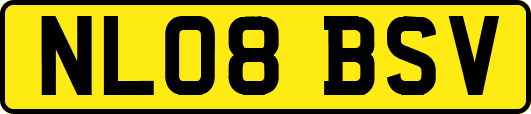 NL08BSV