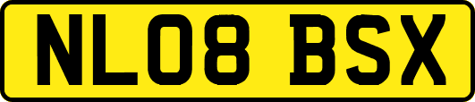 NL08BSX