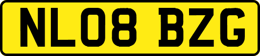 NL08BZG