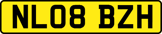 NL08BZH