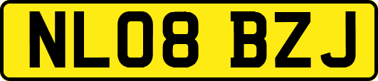 NL08BZJ
