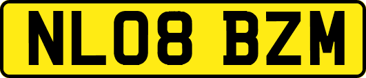 NL08BZM