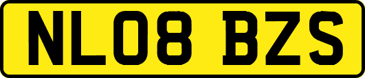 NL08BZS