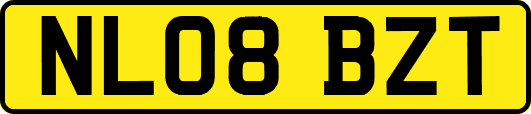 NL08BZT