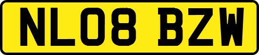 NL08BZW