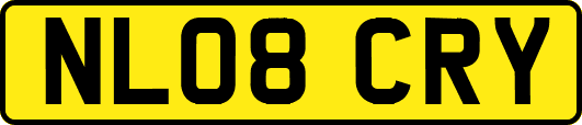 NL08CRY