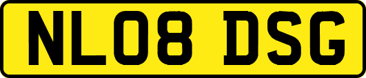 NL08DSG