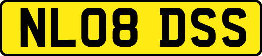 NL08DSS