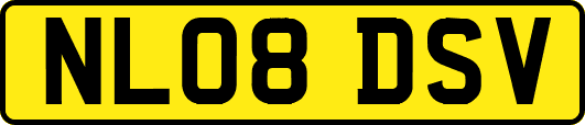 NL08DSV