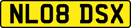 NL08DSX