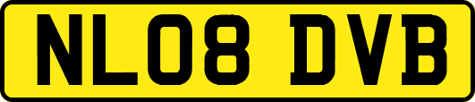 NL08DVB