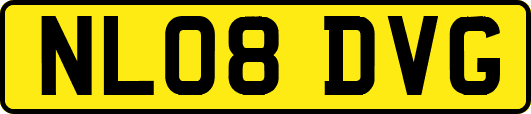 NL08DVG