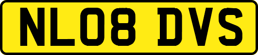 NL08DVS