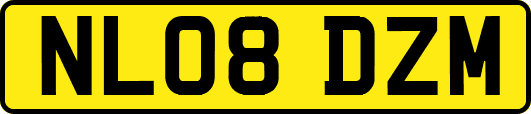 NL08DZM