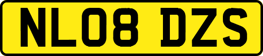 NL08DZS