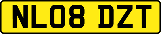 NL08DZT