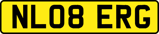 NL08ERG