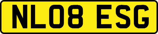 NL08ESG